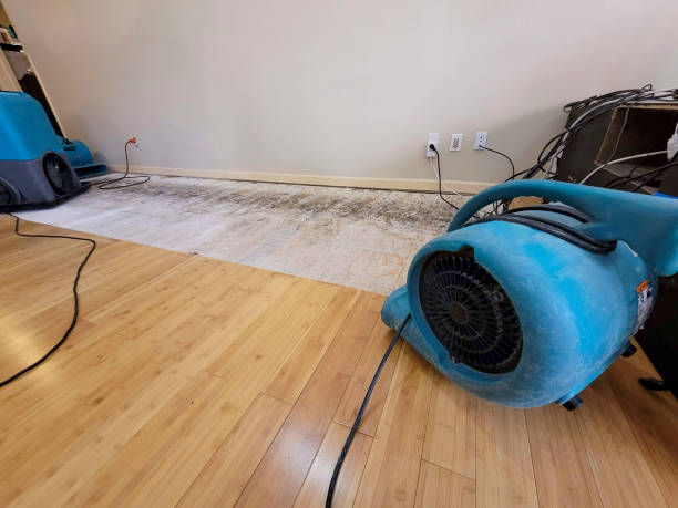 Professional Sewage Cleanup technician working in Columbus, WI